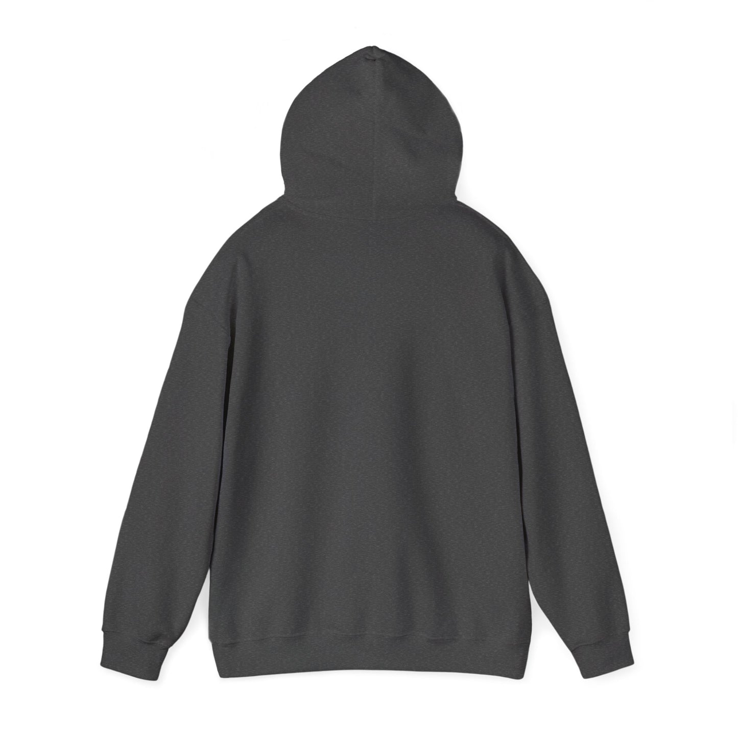 Not of this World™ Hooded Sweatshirt