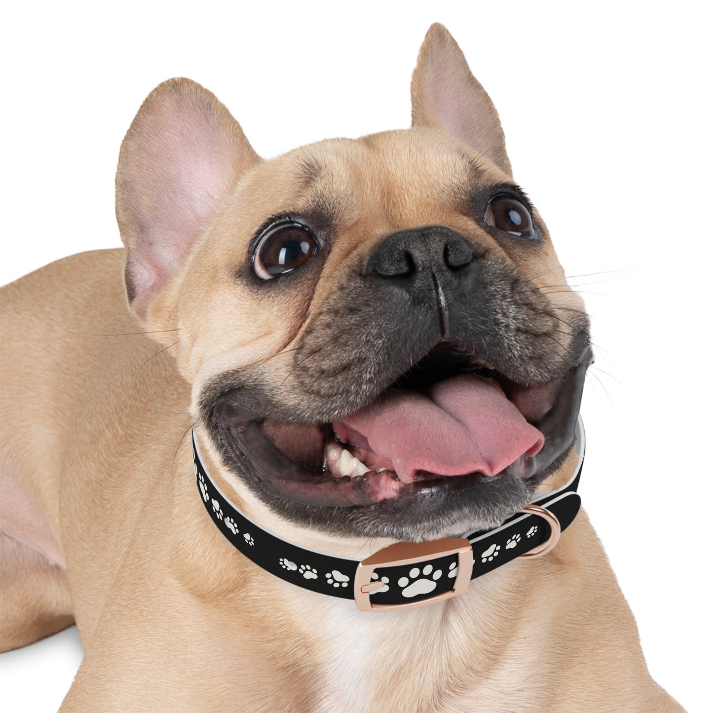 Red Paw Print Dog Collar — Durable Adjustable Pet Collar for Small & Medium Dogs