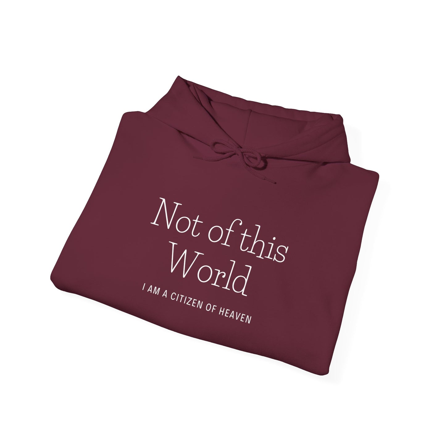 Not of this World™ Hooded Sweatshirt
